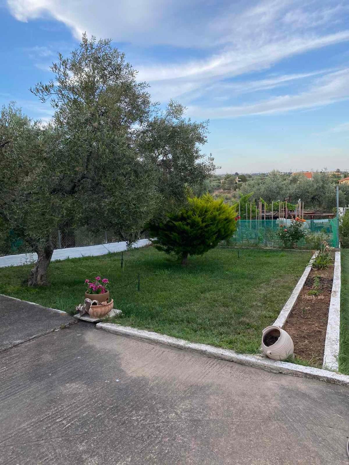 Golden House Διαμέρισμα Αλεξανδρούπολη Εξωτερικό φωτογραφία