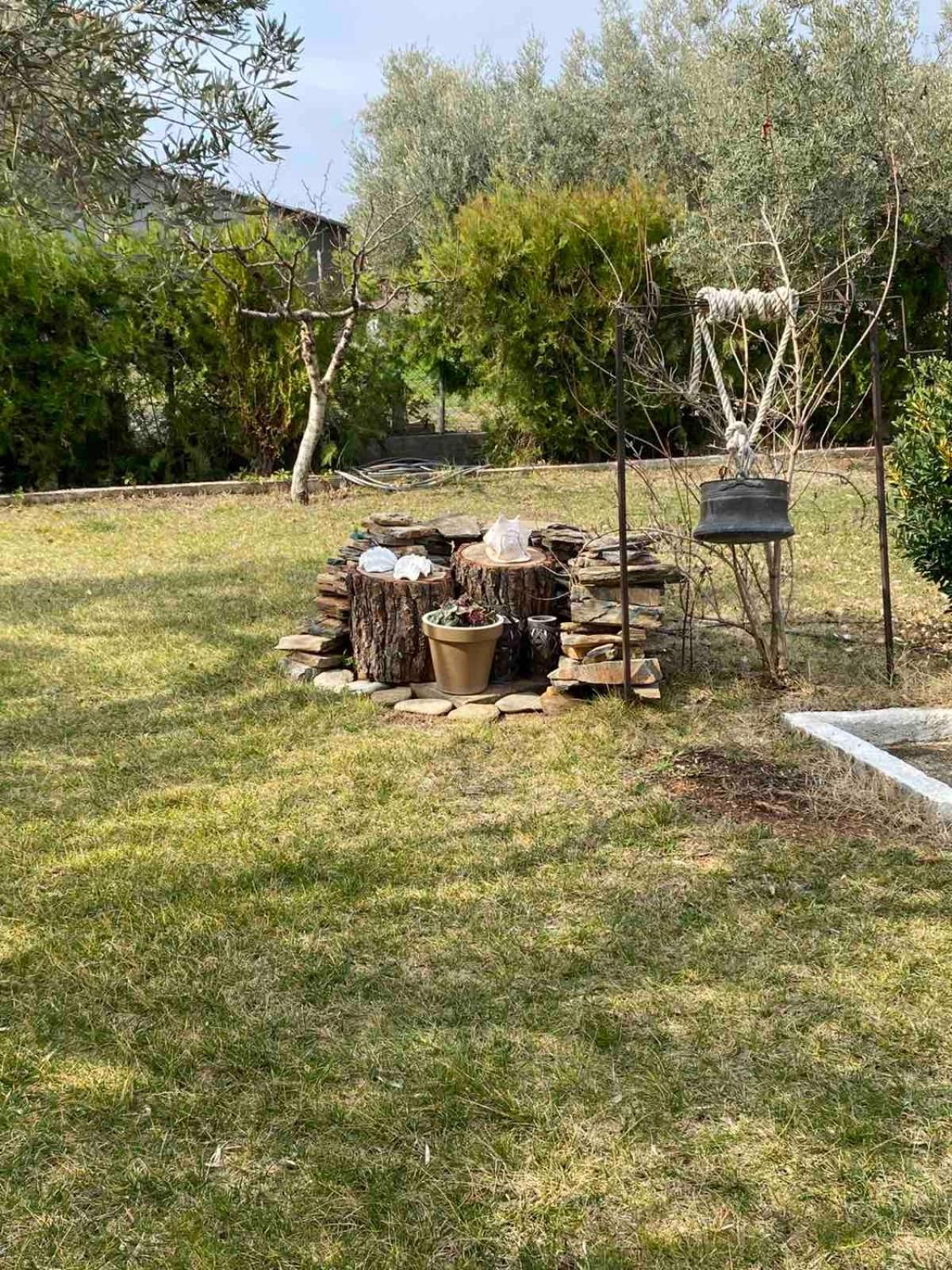 Golden House Διαμέρισμα Αλεξανδρούπολη Εξωτερικό φωτογραφία