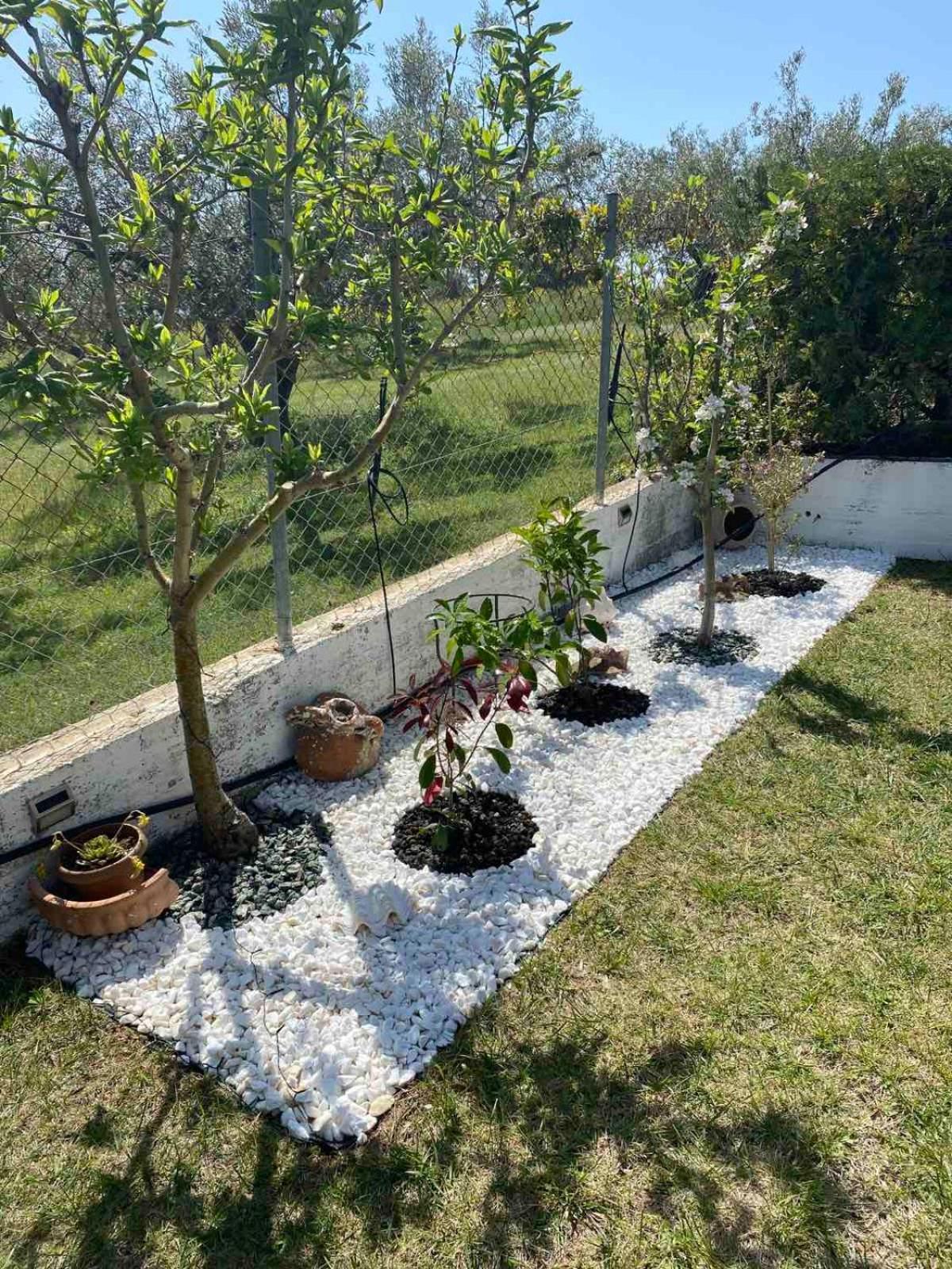 Golden House Διαμέρισμα Αλεξανδρούπολη Εξωτερικό φωτογραφία