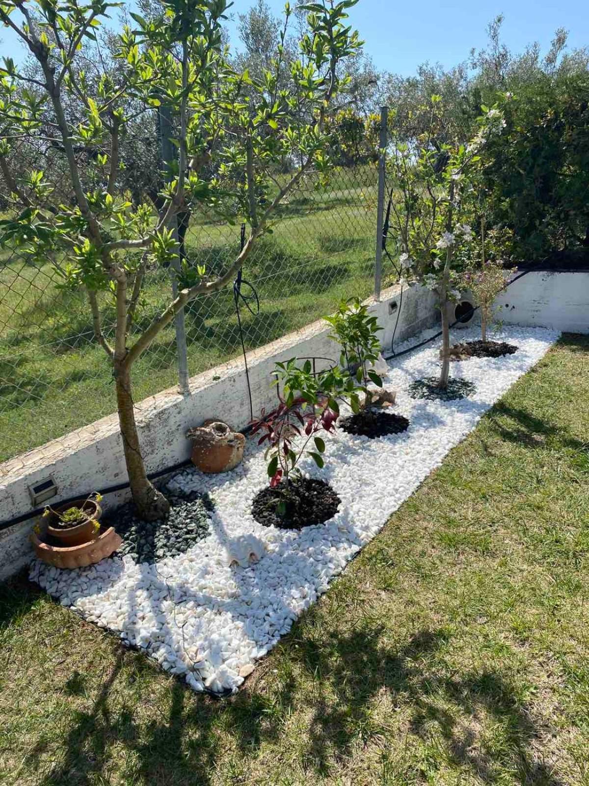 Golden House Διαμέρισμα Αλεξανδρούπολη Εξωτερικό φωτογραφία